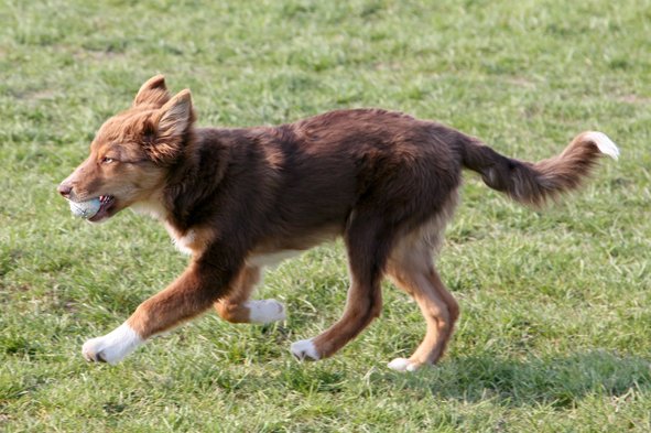fairplay5monthsold11.jpg