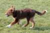 fairplay5monthsold11_small.jpg