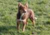 fairplay5monthsold6_small.jpg