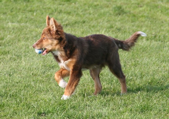 fairplay5monthsold9.jpg