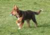fairplay5monthsold9_small.jpg