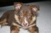 fairplay9wksold5_small.jpg