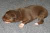 fairplayday132_small.jpg
