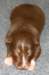 fairplayday134_small.jpg