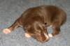 fairplayday13_small.jpg