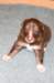 fairplayday232_small.jpg