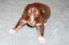 fairplayday233_small.jpg