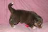 fairplayday282_small.jpg