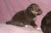 fairplayday283_small.jpg