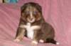 fairplayday284_small.jpg