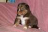 fairplayday285_small.jpg