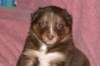 fairplayday286_small.jpg