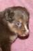 fairplayday28_small.jpg