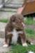 fairplayday292_small.jpg