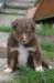 fairplayday293_small.jpg