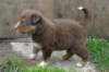 fairplayday29_small.jpg