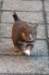 fairplayday372_small.jpg