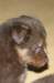fairplayday373_small.jpg