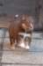fairplayday37_small.jpg