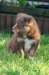 fairplayday442_small.jpg