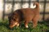 fairplayday443_small.jpg