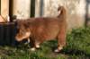 fairplayday444_small.jpg