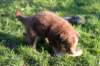 fairplayday445_small.jpg