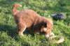 fairplayday446_small.jpg