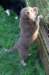 fairplayday448_small.jpg