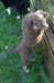 fairplayday449_small.jpg
