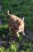 fairplayday44_small.jpg
