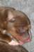 fairplayday4_small.jpg