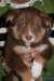 fairplayday53_small.jpg