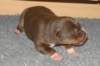 fairplayday82_small.jpg