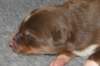 fairplayday83_small.jpg