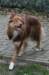 truffel115monthsold13_small.jpg