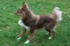 truffel115monthsold16_small.jpg