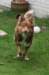 truffel115monthsold2_small.jpg