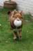 truffel115monthsold3_small.jpg