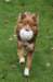 truffel115monthsold4_small.jpg