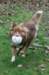truffel115monthsold6_small.jpg