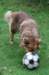 truffel115monthsold7_small.jpg