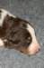 fairskyday135_small.jpg