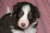 fairskyday283_small.jpg