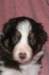 fairskyday284_small.jpg