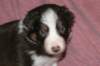 fairskyday285_small.jpg