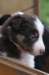 fairskyday292_small.jpg