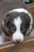 fairskyday294_small.jpg
