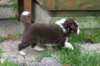 fairskyday297_small.jpg