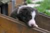 fairskyday29_small.jpg